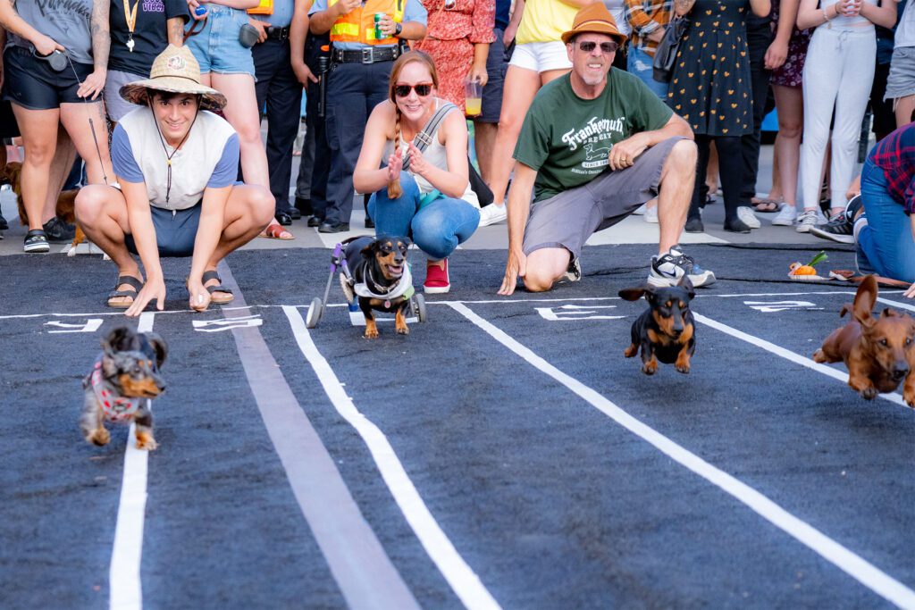 Oct-Fest-Sat-66-Wide