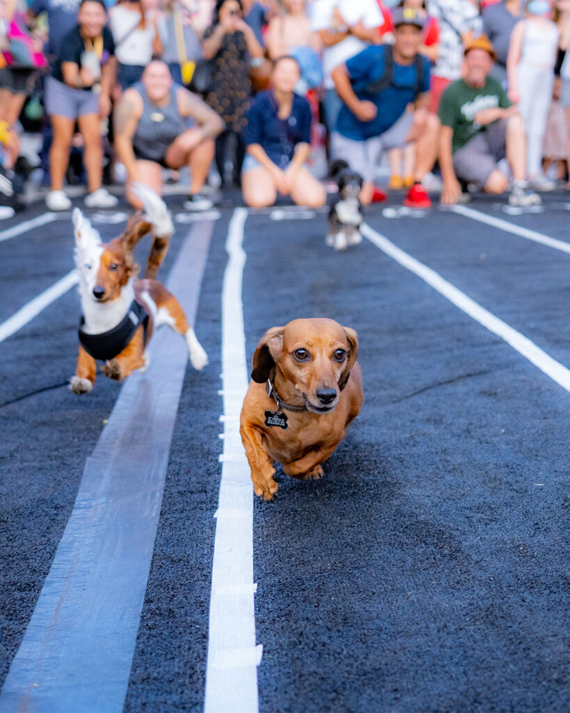 Oct-Fest-Sat-77-Tall